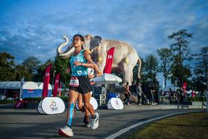 BIB: 
                            <button type="button" onclick="openModal(26541504)" class="btn btn-primary btn-sm float-right btn-popup" data-toggle="modal" data-target=".modal-high-quality">
                        <i class="fas fa-shopping-cart"></i> Add to Cart
                    </button>
                                            <button type="button" onclick="isThisMe(26541504, true)" class="btn btn-success btn-sm float-right btn-popup btn-isme hidden" data-toggle="tooltip" data-placement="bottom" title="นี่คือรูปของคุณใช่ไหม คลิกที่นี่เพื่อเอาเข้าอัลบั้ม">
                        <i class="fas fa-plus"></i> Add to album
                    </button>
                    <button type="button" onclick="isThisMe(26541504, false)" class="btn btn-warning btn-sm float-right btn-popup btn-isnotme hidden">
                        <i class="fas fa-ban"></i> Remove from album
                    </button>